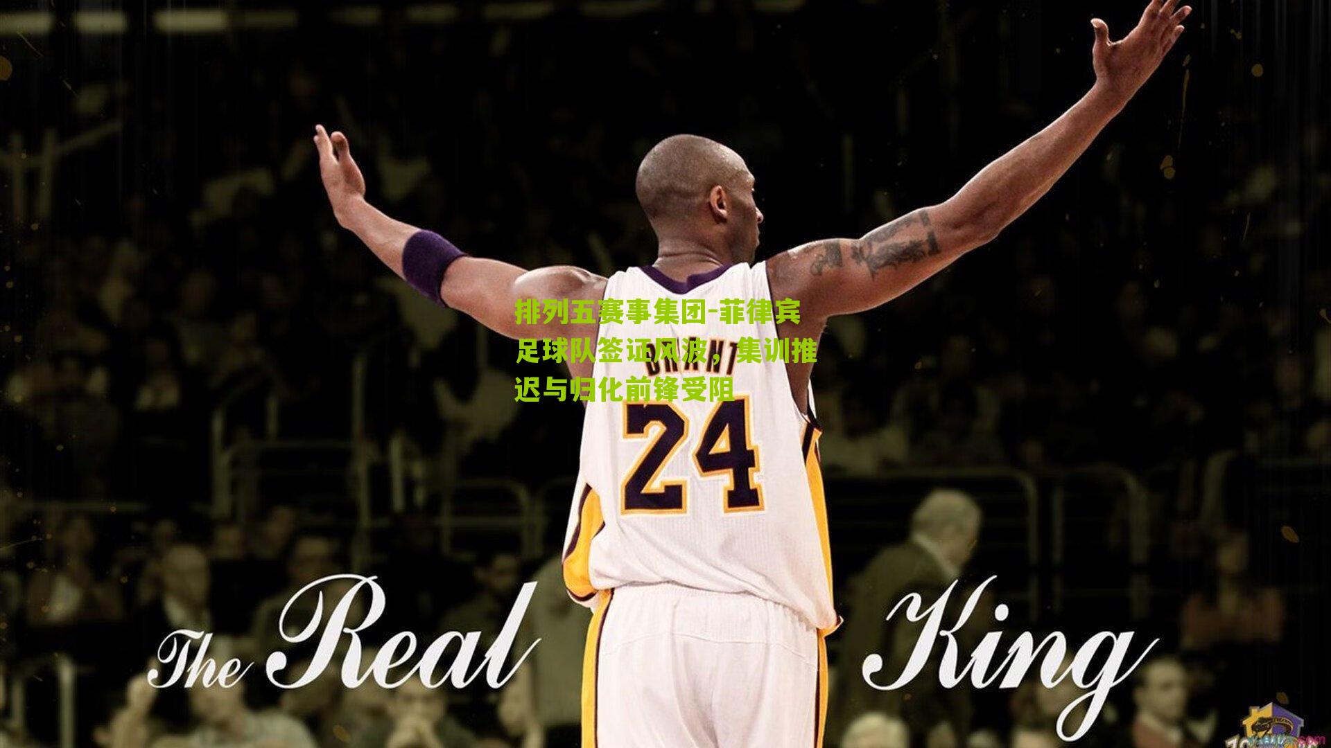 菲律宾足球队签证风波，集训推迟与归化前锋受阻