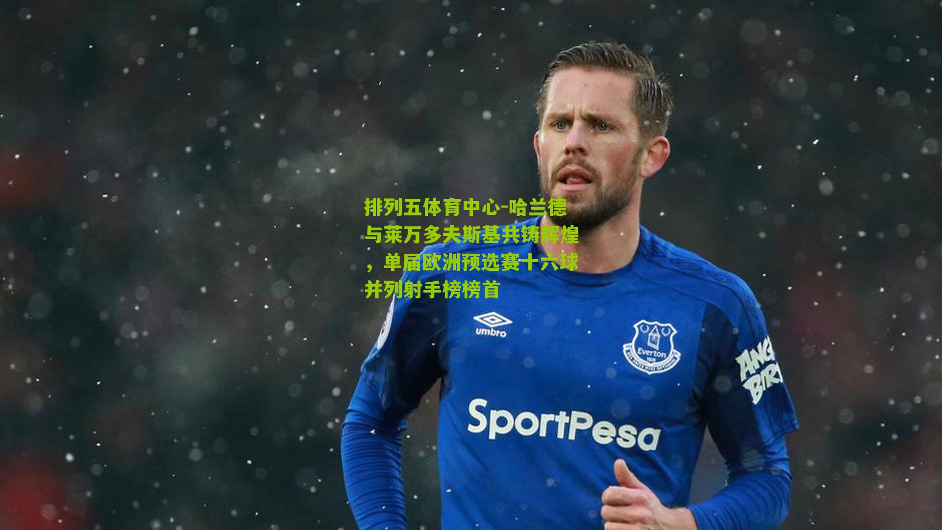 哈兰德与莱万多夫斯基共铸辉煌，单届欧洲预选赛十六球并列射手榜榜首